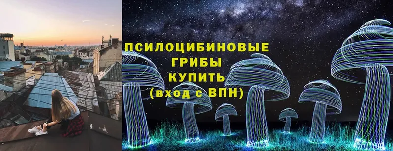 кракен вход  Новодвинск  Псилоцибиновые грибы Cubensis 